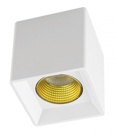 Накладные точечные светильники — Накладной светильник Denkirs DK3080-WH+YE купить в 