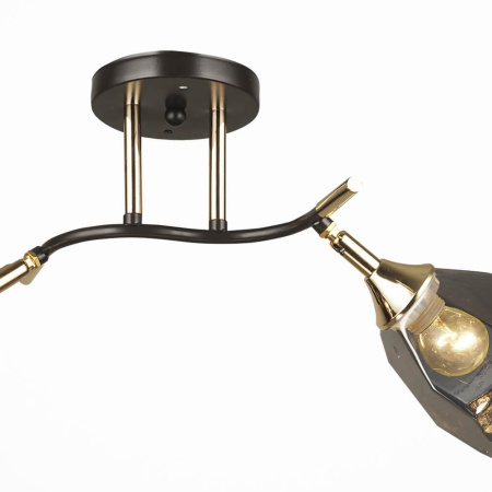 Потолочные люстры — Потолочная люстра Seven Fires Anione 66554.01.15.02 купить в  Потолочные люстры — Потолочная люстра Seven Fires Anione 66554.01.15.02 купить в