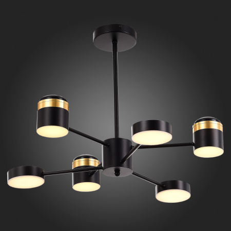 Люстры на штанге — Люстра на штанге Evoluce SLE6007-402-06 купить в 