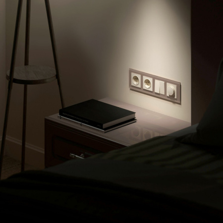 Рамки — Рамка Werkel W0041142 купить в 