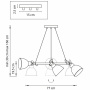 Люстры подвесные — Подвесная люстра Lightstar 761160 купить в 