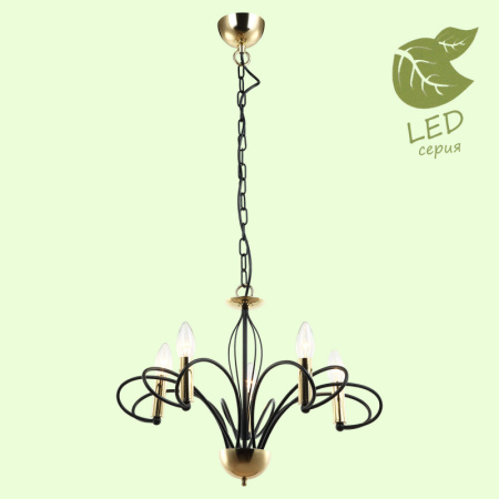 Люстры подвесные — Подвесная люстра Lussole GRLSP-8194 купить в 