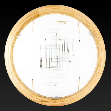 Накладные светильники — Накладной светильник TOPLIGHT TL9153Y-02PN купить в 