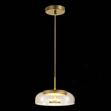 Подвесные светильники — Подвесной светильник ST-Luce SL6002.203.01 купить в 