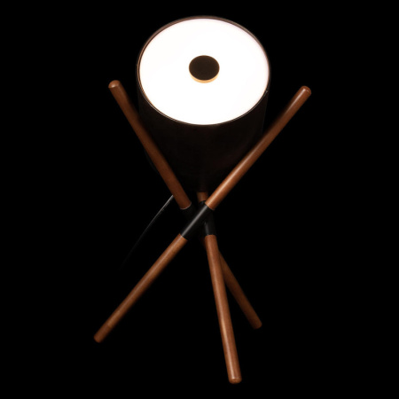 Настольные лампы — Настольная лампа LOFT IT 10245T Black купить в 