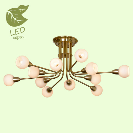 Люстры накладные — Накладная люстра Lussole GRLSP-8124 купить в  Люстры накладные — Накладная люстра Lussole GRLSP-8124 купить в