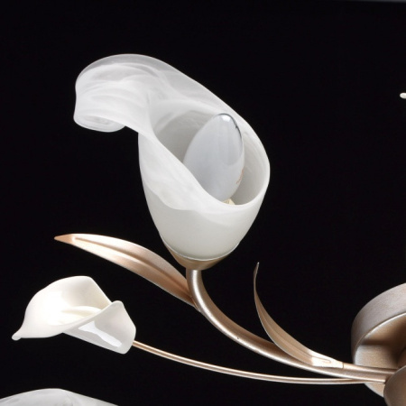 Люстры накладные — Накладная люстра MW-Light 242016205 купить в 