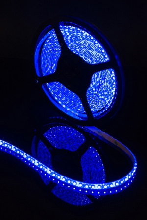 Светодиодные ленты — Лента SWG SWG3120-12-9.6-B-65 купить в 