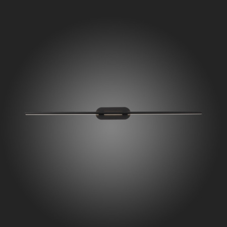 Светильники для картин и зеркал — Светильник для картин ST-Luce SL1598.411.01 купить в 