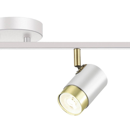 Споты — Спот Lumien Hall Саурис LH8020/4C-WT-GD купить в 