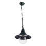 Подвесные уличные светильники — Подвесной уличный светильник ARTE Lamp A1085SO-1BG купить в  Подвесные уличные светильники — Подвесной уличный светильник ARTE Lamp A1085SO-1BG купить в