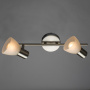 Споты — Спот ARTE Lamp A5062AP-2SS купить в  Споты — Спот ARTE Lamp A5062AP-2SS купить в