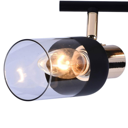 Споты — Спот Seven Fires Тина SF4701/2C-MBK+FGD купить в  Споты — Спот Seven Fires Тина SF4701/2C-MBK+FGD купить в