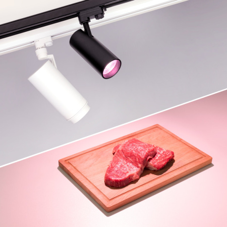 Трековые светильники — Светильник на шине Arlight 032470 купить в  Трековые светильники — Светильник на шине Arlight 032470 купить в