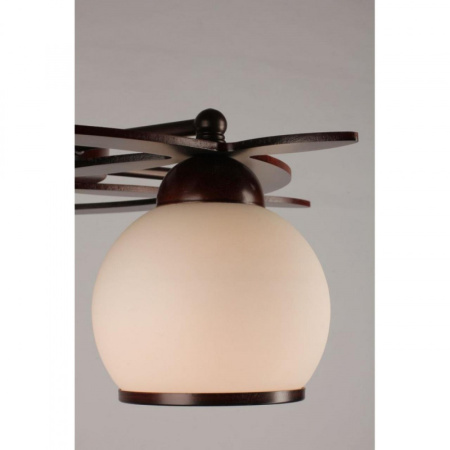 Люстры накладные — Накладная люстра Omnilux OML-50507-05 купить в 