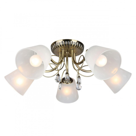 Люстры накладные — Накладная люстра Omnilux OML-54607-05 купить в 