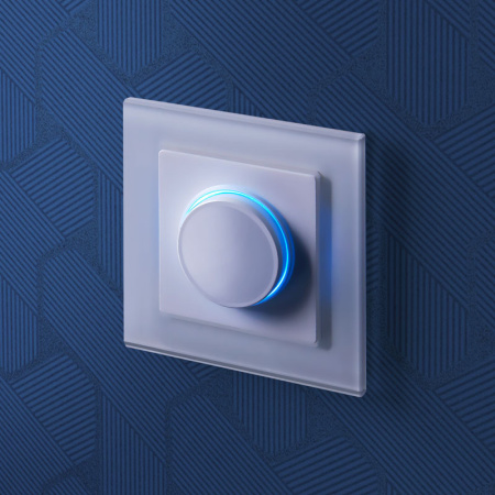 Диммеры — Диммеры Werkel W1142101 купить в 