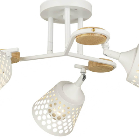 Потолочные люстры — Потолочная люстра Seven Fires Odetta 66583.01.09.03 купить в 