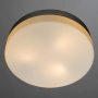 Накладные светильники — Накладной светильник ARTE Lamp A3211PL-3SI купить в  Накладные светильники — Накладной светильник ARTE Lamp A3211PL-3SI купить в