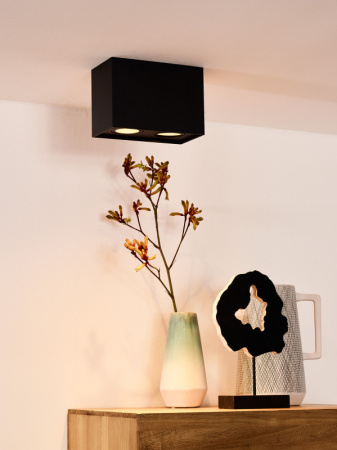 Накладные точечные светильники — Накладной светильник LUCIDE 22953/02/30 купить в  Накладные точечные светильники — Накладной светильник LUCIDE 22953/02/30 купить в