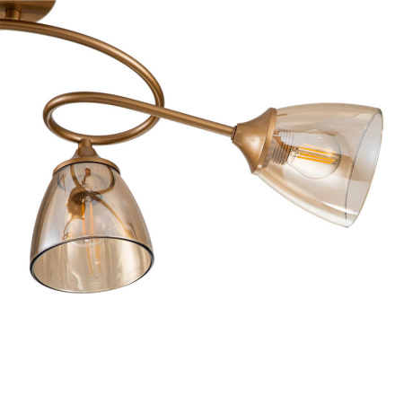 Потолочные люстры — Потолочная люстра Escada Celosia 1112/4P купить в 