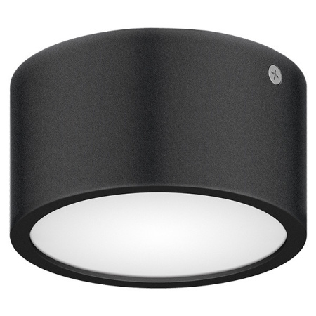 Накладные уличные светильники — Накладной уличный светильник Lightstar 380173 купить в 