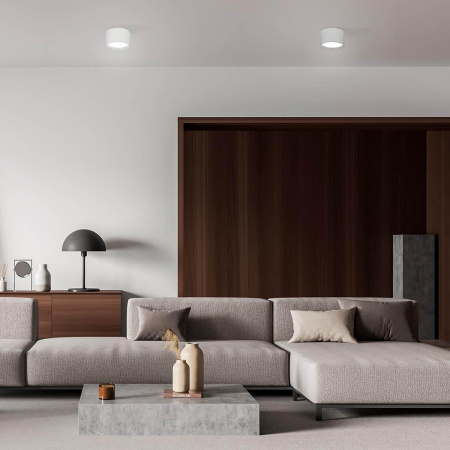 Накладные светильники — Потолочный светодиодный светильник Escada 20005SMU/02LED SWH купить в  Накладные светильники — Потолочный светодиодный светильник Escada 20005SMU/02LED SWH купить в