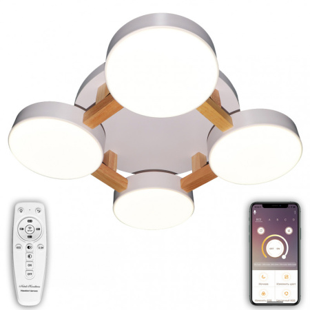 Накладные светильники — Накладной светильник Natali Kovaltseva LED LAMPS 81325 купить в  Накладные светильники — Накладной светильник Natali Kovaltseva LED LAMPS 81325 купить в