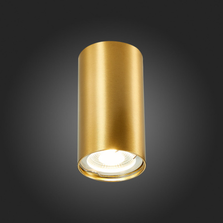 Накладные точечные светильники — Накладной светильник ST-Luce ST110.207.01 купить в 