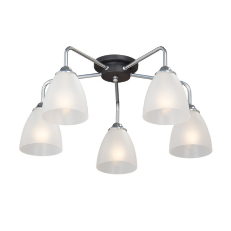 Люстры накладные — Накладная люстра Vitaluce V4500-9/5PL купить в 