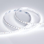 Светодиодные ленты — Лента Arlight 017427 купить в  Светодиодные ленты — Лента Arlight 017427 купить в