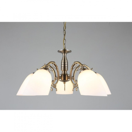 Люстры подвесные — Подвесная люстра Omnilux OML-56407-05 купить в 