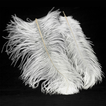 Люстры подвесные — Подвесная люстра Lussole LSP-8600 купить в  Люстры подвесные — Подвесная люстра Lussole LSP-8600 купить в