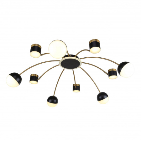 Люстры накладные — Накладная люстра F-Promo 3096-10P купить в  Люстры накладные — Накладная люстра F-Promo 3096-10P купить в