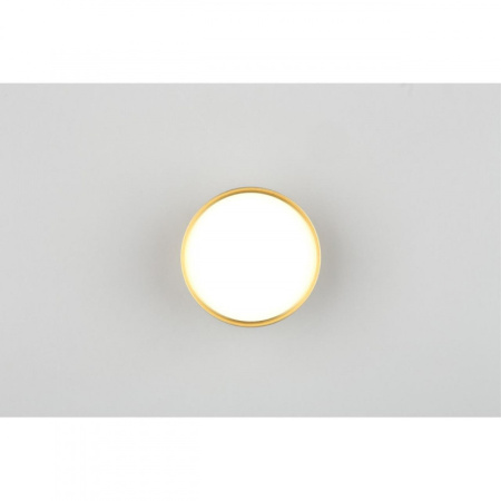 Накладные точечные светильники — Накладной светильник Omnilux OML-100929-06 купить в 