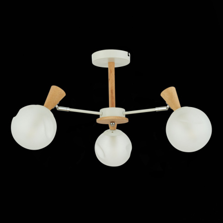 Люстры на штанге — Люстра на штанге Evoluce SLE220702-03 купить в 