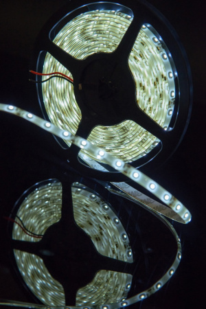 Светодиодные ленты — Лента SWG SWG360-12-4.8-W-65 купить в 