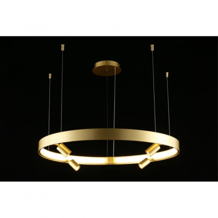 Люстры подвесные — Подвесная люстра APLOYT APL.041.03.50 купить в 