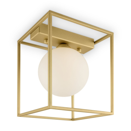 Накладные светильники — Накладной светильник Freya FR5113CL-01G купить в 