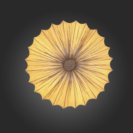 Накладные светильники — Накладной светильник ST-Luce SL351.072.05 купить в 