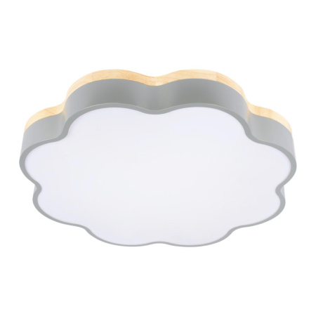 Накладные светильники — Накладной светильник LOFT IT 10225/36 Grey купить в 