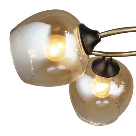 Потолочные люстры — Потолочная люстра Seven Fires Belluno 66426.01.37.04 купить в  Потолочные люстры — Потолочная люстра Seven Fires Belluno 66426.01.37.04 купить в