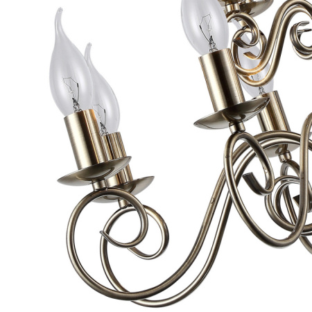 Люстры подвесные — Подвесная люстра ARTE Lamp A1129LM-12AB купить в  Люстры подвесные — Подвесная люстра ARTE Lamp A1129LM-12AB купить в