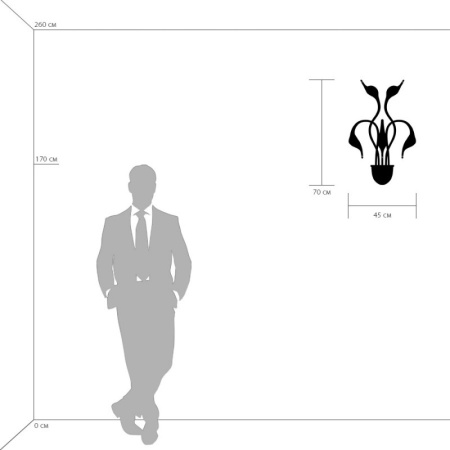 Настенные бра — Бра Lightstar 751656 купить в  Настенные бра — Бра Lightstar 751656 купить в