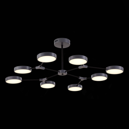 Люстры на штанге — Люстра на штанге Evoluce SLE6003-702-08 купить в  Люстры на штанге — Люстра на штанге Evoluce SLE6003-702-08 купить в