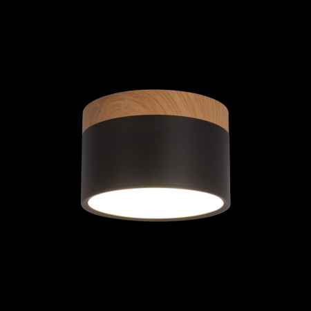 Детские точечные светильники — Детский точечный светильник LOFT IT 10162 Black купить в 