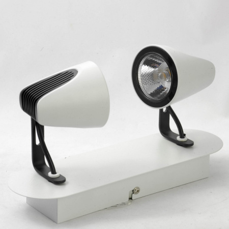 Споты — Спот Lussole LSN-4101-02 купить в 