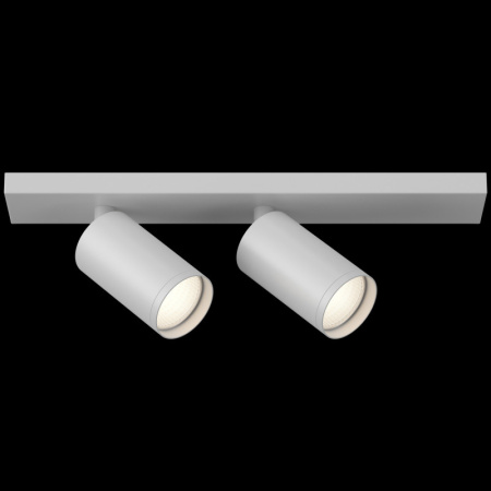 Споты — Спот Maytoni Technical C051CL-2W купить в 