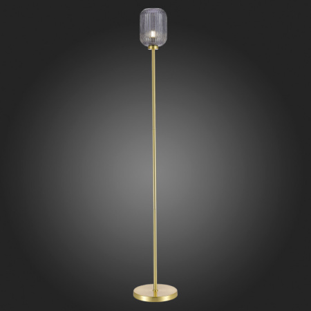 Торшеры и напольные светильники — Торшер ST-Luce SL1154.335.01 купить в 
