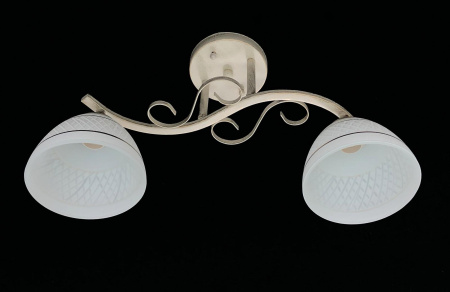 Потолочные люстры — 01443/2 (1159) белый купить в 